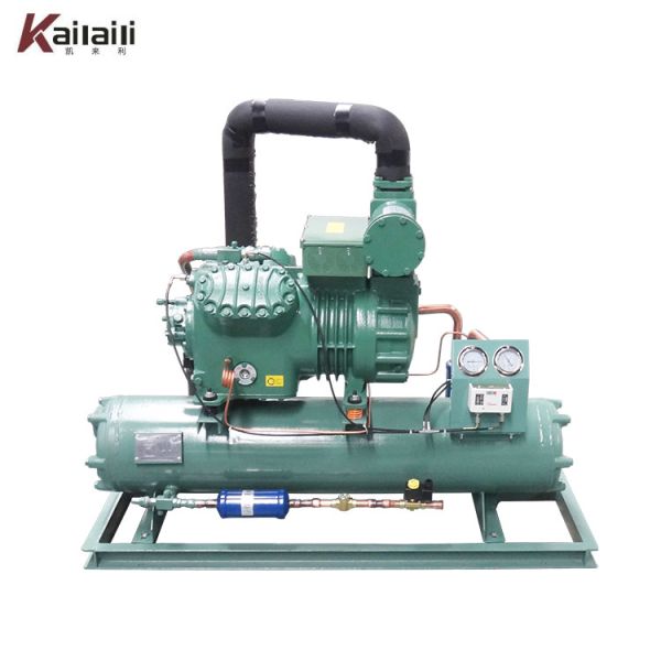 Low Temperature Water cooled condensing unit cold room chiller