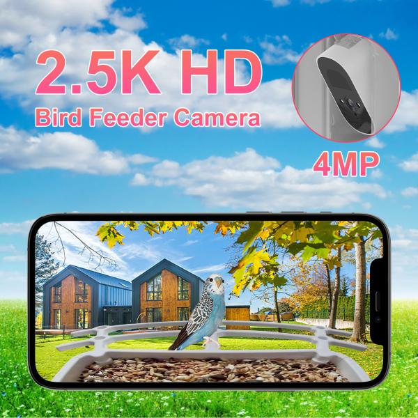 IP66 Waterproof 4MP Smart Bird Feeder 2.5L Wildlife Smart Bird Camera