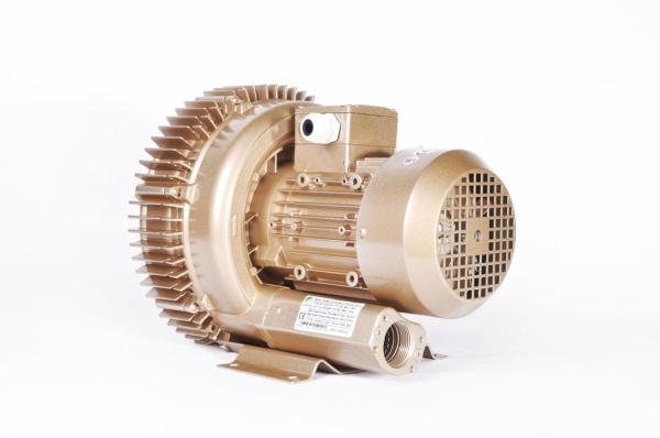 Regenerative Ring Two Stage Vacuum Pump For Waste Water Treatment 1.3 Kw
