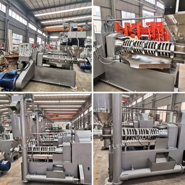 Henan Lewin Industrial Development Co., Ltd