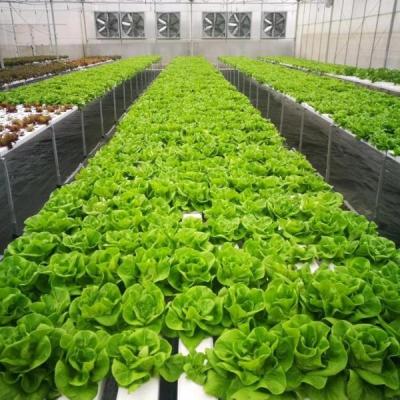 100x50mm Nft sistema de calhas hidropônicas chuva canais de PVC crescer sistema para alface morango