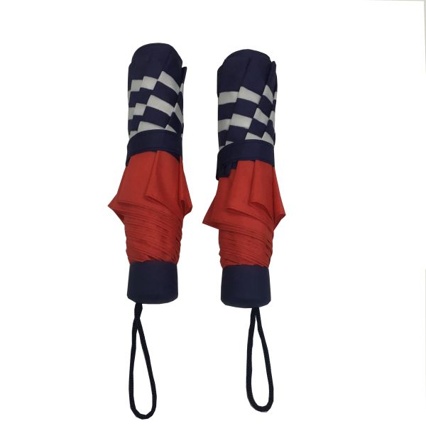 Зонтик Pongee рамки цинка голубой нашивки складной для дам