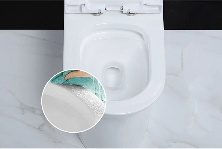 Bathroom Concealed Wall Mounted WC Sanitary Ware Rimless Wall Hung Toilet
