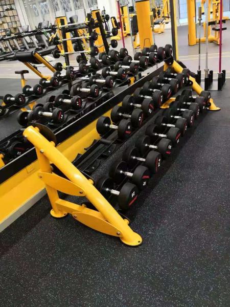 15 Pairs Fitness Dumbbell 3 Tier Dumbbell Rack 2490*690*760MM