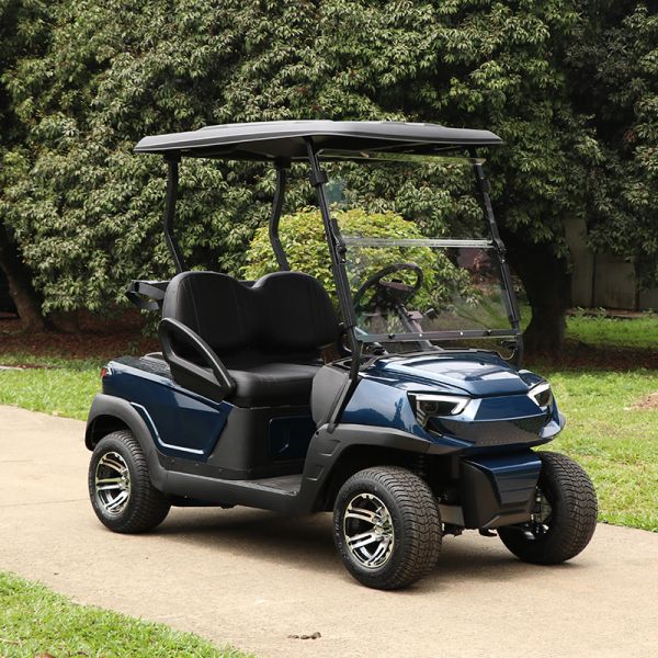 Affordable 2 Seaters Electric Golf Cart With Lithium Battery
