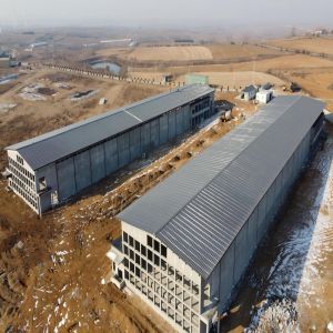 Customizable Dimensions High Strength Steel Frame Fast Installation Prefabricate