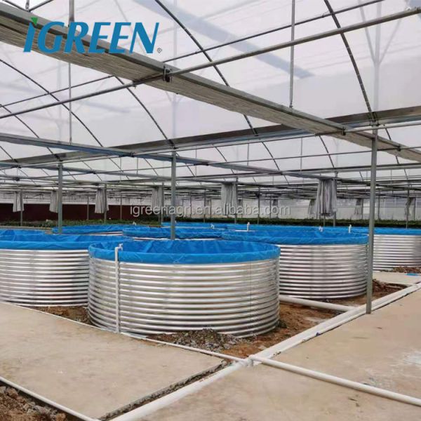 Customized Shape Corrugated Galvanized Steel Fish Pond Fish Tank PVC Tarpaulin for RAS Recirculating Aquaculture System IGREEN