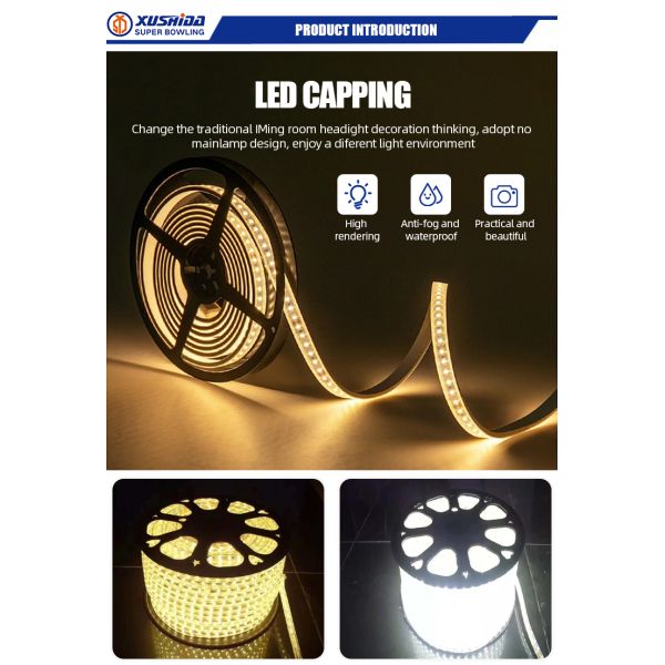 Гибкая водонепроницаемая изгибаемая светодиодная световая лента из ПВХ Производители Smart Neon Flex Outdoor