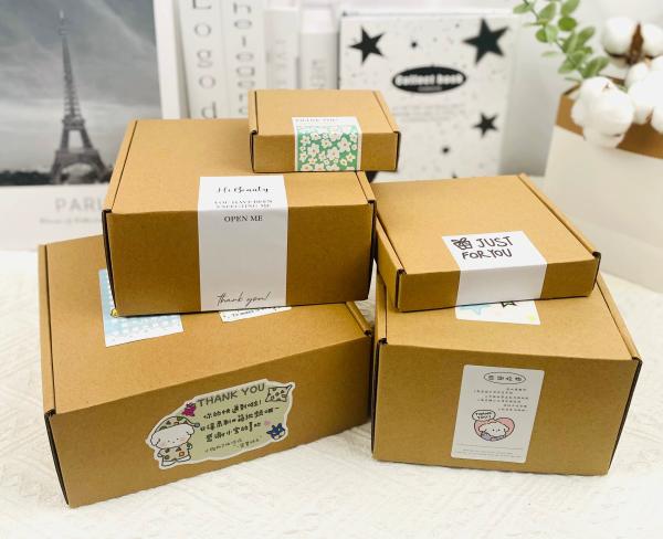 Cajas cuadradas de correo Kraft resistente, embalaje rígido y alto para regalos, envío, embalaje corrugado