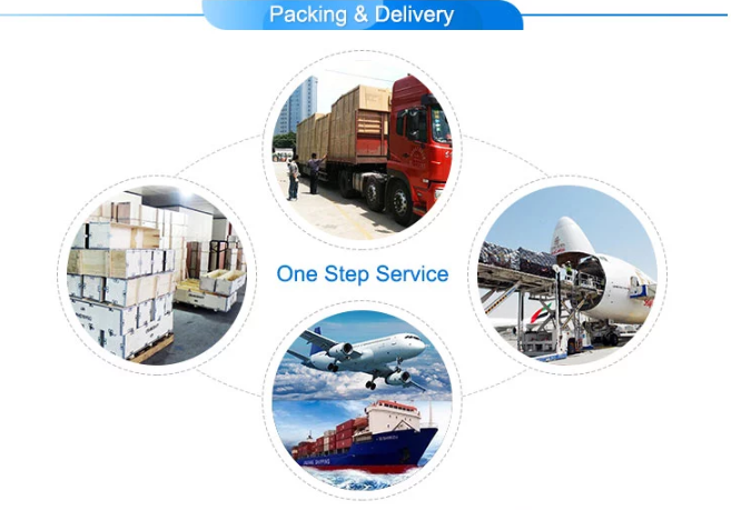 Одобренный CE 094050-0060 Топливный насос высокого давления