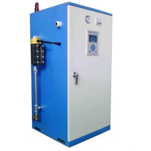 Portable Electric Steam Generator