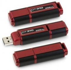 O flash marcado de USB conduz DT310