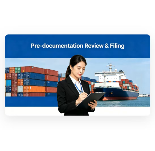 Middle East FCL Container Shipping Sea Freight , Vessel Container Shipping