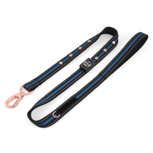 Trela do cão do diodo emissor de luz, segurança de incandescência da noite dos modos das luzes 3 recarregáveis de USB, resistência de água