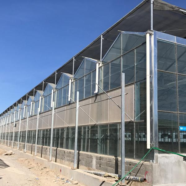 Instruction for Agricultural Glass Hydroponics System Commercial Greenhouses Frame