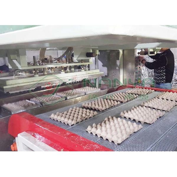 Машина для формования целлюлозы для одноразовой белой бумаги формованная картонка для перепелиных яиц / яичная поднос с 90 полостями