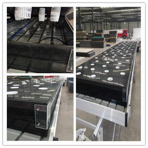 Передвижное Hydroponic Aeroponic растет автоматизированный системой гидрактор полива растет система