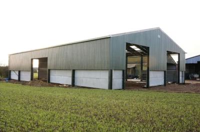 Industrial Prefabricated Steel Structure Warehouse Construction Farm Shed Building