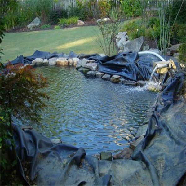 Аквакультура Дизайн стиль Внутренние аквариумы для выращивания тилапии Рыбные аквариумы HDPE Геомембрана Ширина 1м-8м