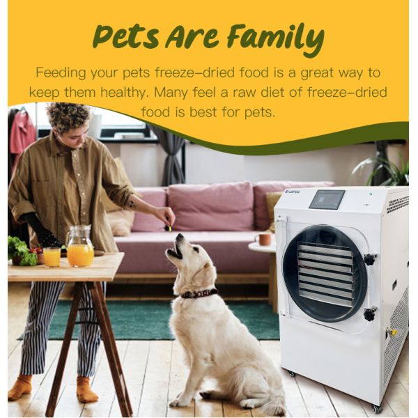 Lanphan 7-Tray Medium Home Freeze Dryer Black White Freeze Dry At Home for food fruit