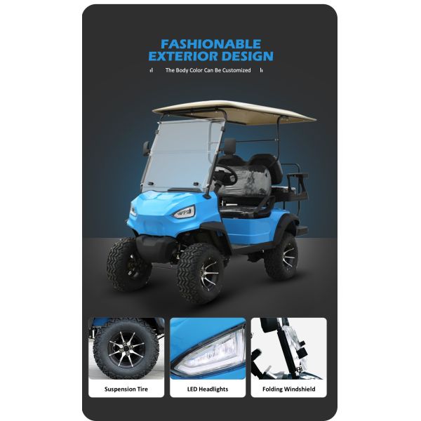 Electric Golf Buggy 2 2 Seat Battery Operated Utility Golf Carts for Your Needs from HM
