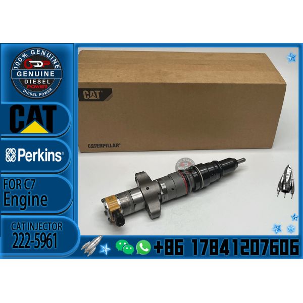 222-5961 222-5959 557-7633 387-9433 328-2574 common rail injector 5577633 241-3238 3879433 for Caterpillar 330D C9