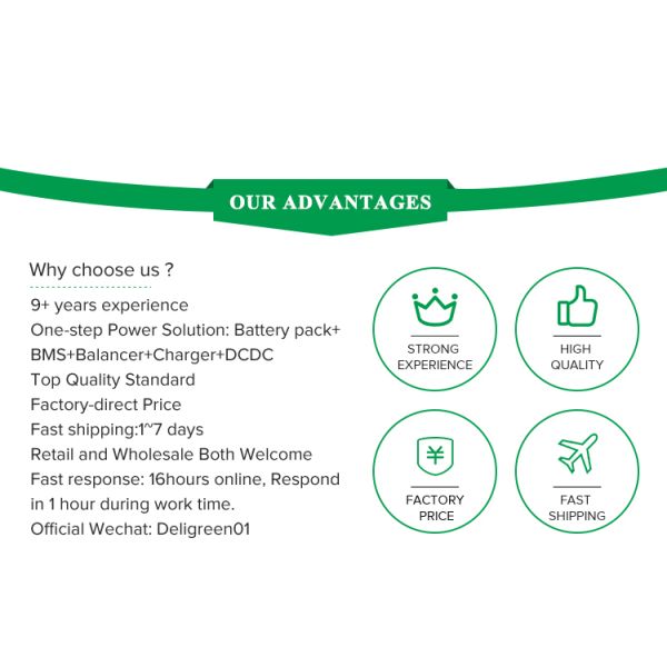 балансер 8s активный Deligreen для батареи BYD LiFePO4
