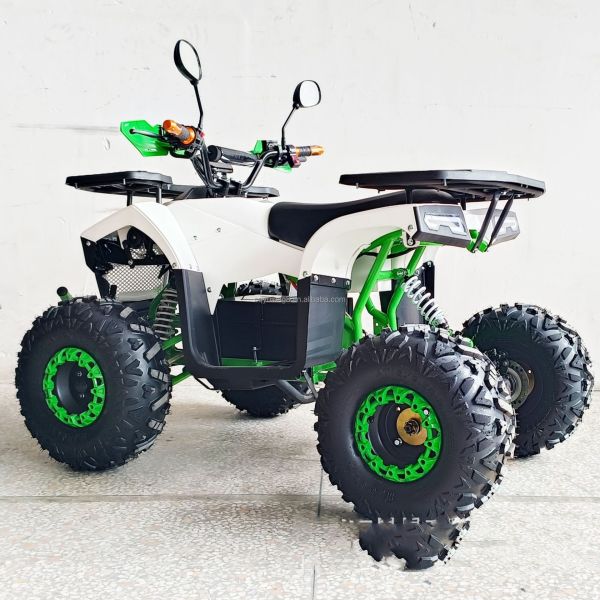 Kids and Adults 50CC Off-Road Gasoline Motorcycle 2-Stroke ATV with Passenger Seat