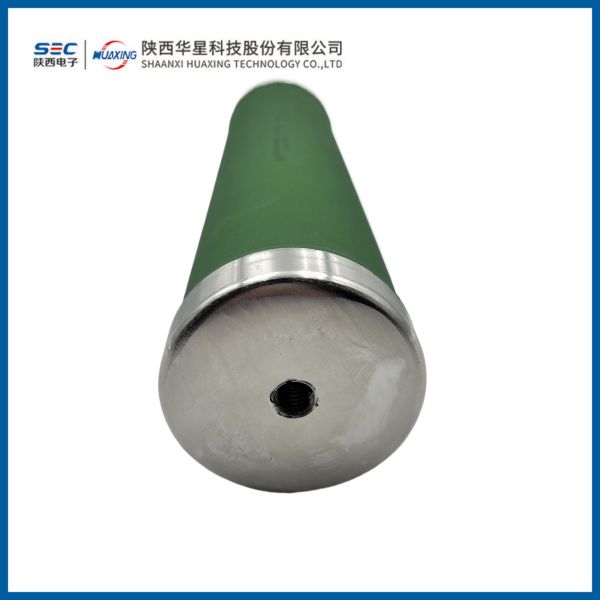 RXQAN Varnished Wirewound Resistor