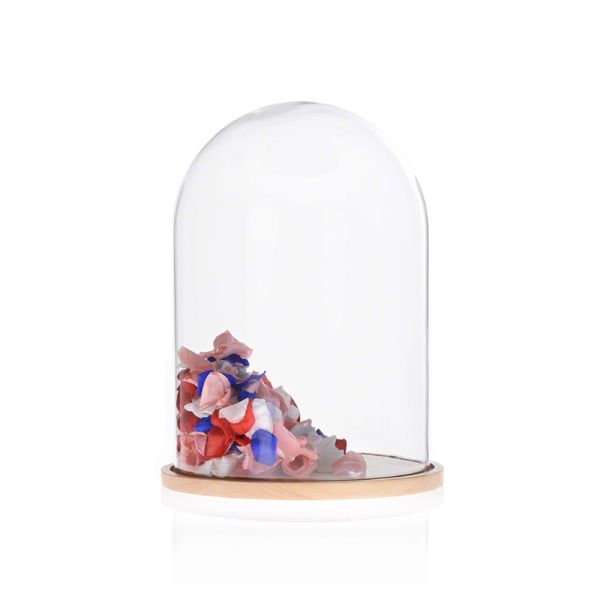 Oak Base D20 X H23cm Borosilicate Clear Glass Dome Cloche