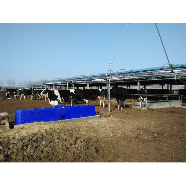 Terrui Livestock Auto Waterer The Ultimate Solution for Automated Watering