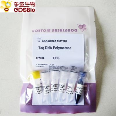 Polimerase de ADN de alta qualidade P1014 de GDSBio Taq 1000U