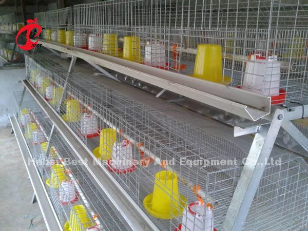 Тип клетка батареи ISO размножения, клетка цыпленка 3 ярусов для радужки птицефермы