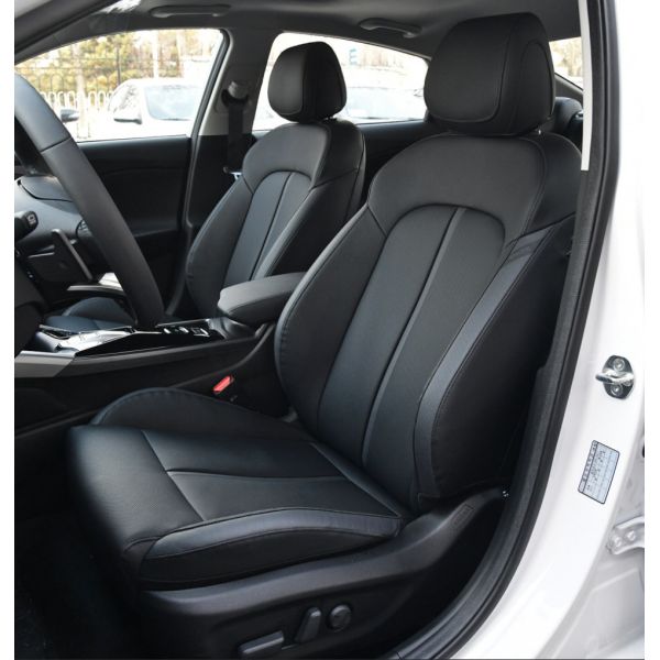 Feista Pure Electric 2020 GLS Free Travel Версия Компактный седан 4 двери 5 мест