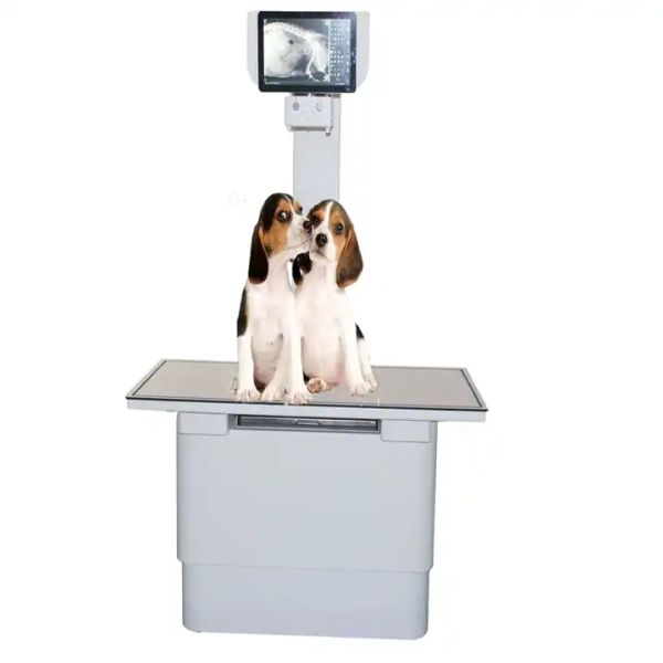 32KW Digital Vet DR X-ray Table Small Animal Xray Fluoroscopy Equipment Fixed Veterinary Dog X Ray Machine