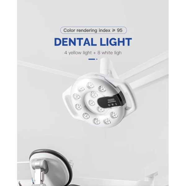 Dental Surgical LED Lamp for Dental Chair Oral Therapy Lamp12pcs Dual-color LED Dental Light