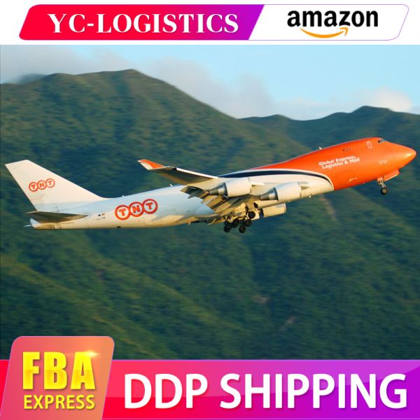 China Shipping Agent Sea Freight To USA Door To Door DDP Service Company