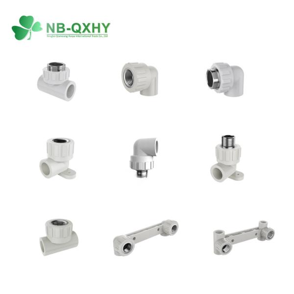 PP-R Plastic Pipe Fittings Valve Tee Elbow Tube Plumbing Fittings for Initial Payment