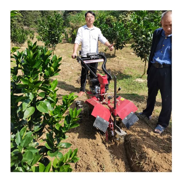Multi-purpose Orchard Gasoline Power Tiller Engine for Weeding Ditching and Ridging