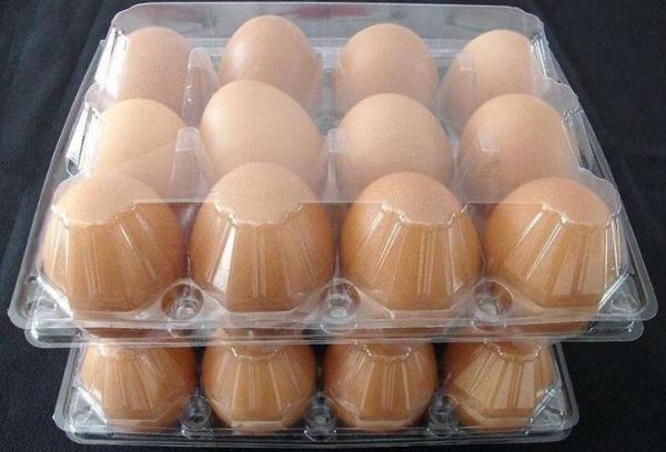 2 compartments clamshell, rectangular eco friendly real manufacturer, pp plastic type and tray lunch boxes FDA approved