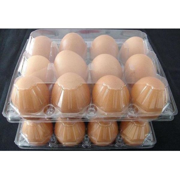 коробок пищевого контейнера клетки пластмассы 2 Индонезии коробки для завтрака 400мл коробка для завтрака Микроваре здоровых японская с палочками пакует