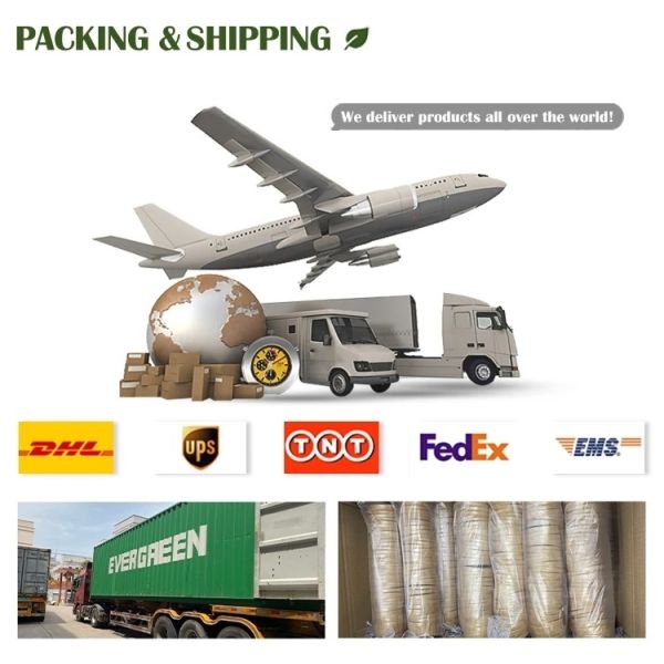 US Custom Logo Disposable Plastic Cold Coffee Cup with Customized Design and Logo