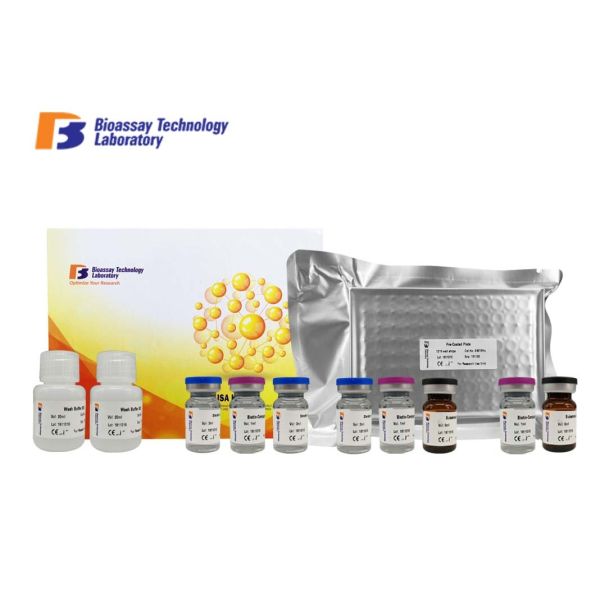 96 Wells Size High Specificity ELISA Assay Kit E6530Hu With Custom Service
