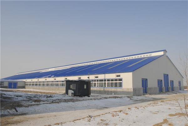 Construção pré-fabricada do estábulo da construção de aço de Q355B com painel de sanduíche