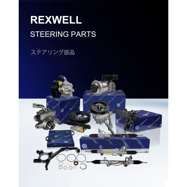 Todas las bombas de aceite de dirección asistida para Nissan Navara D40T D40B YD25 49110-EB700 49110EB700