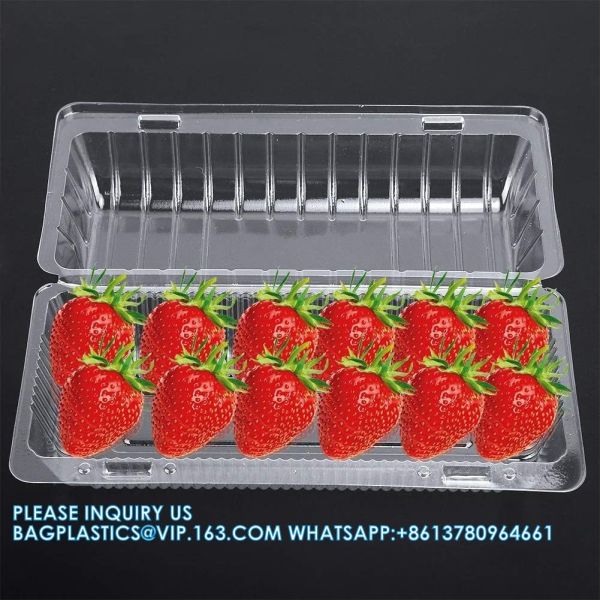 Wholesale Transparent Fresh Strawberry Packaging Container Supermarket Food Plastic Box Plastic Strawberry Packing Box