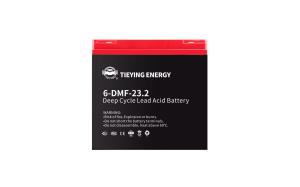 12v 23ah Rechargeable Lead Acid Battery 6.5+-0.02kg 6-DMF-23 For Electric