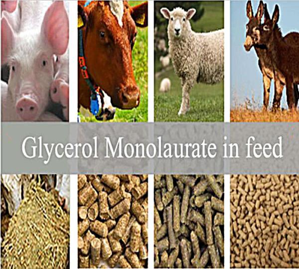 Aditivos da alimentação: O glicerol Monolaurate GML80 pulveriza para o animal