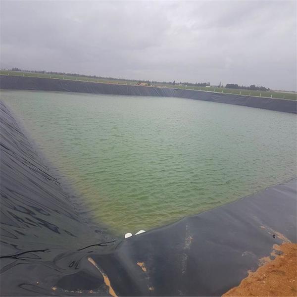 1.5mm 1mm 0.5mm Geomembrana de HDPE para Peixe Liner Liner Liner Padrão GB/ASTM GRI-GM13
