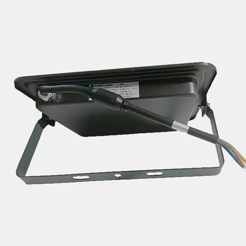 Waterproof IP66 10W 20W 30W 50W 100W 150W 200W 300W LED Floodlight for Outdoor Lighting